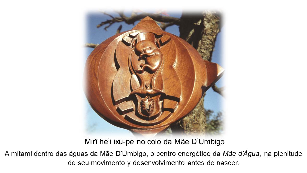 Slide11